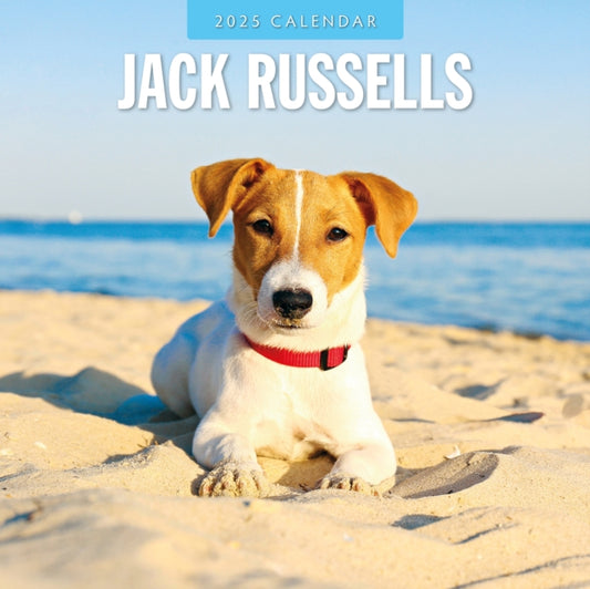 Jack Russells 2025 Square Wall Calendar