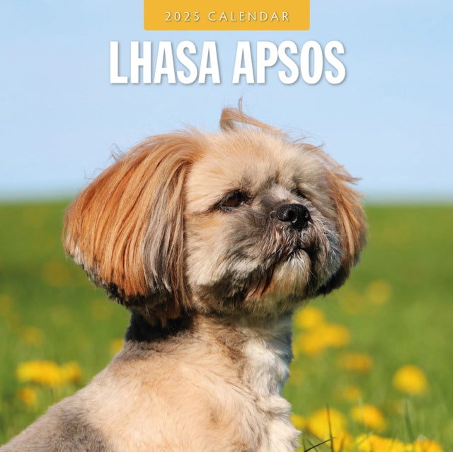 Lhasa Apsos 2025 Square Wall Calendar