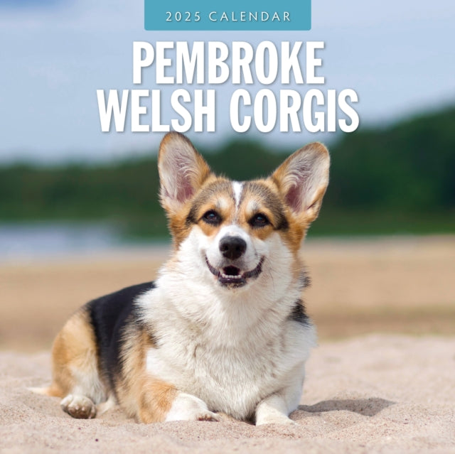 Pembroke Welsh Corgis 2025 Square Wall Calendar