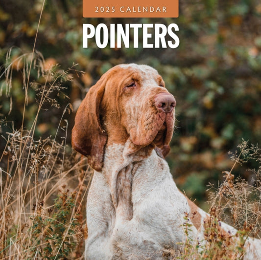 Pointers 2025 Square Wall Calendar