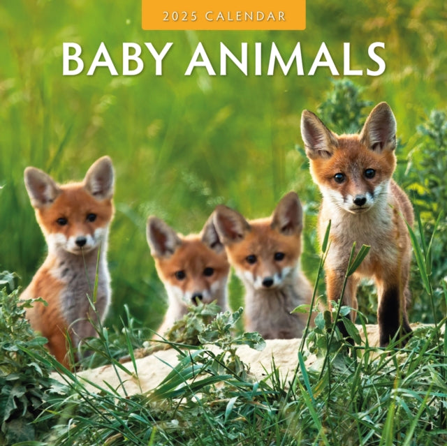 Baby Animals 2025 Square Wall Calendar