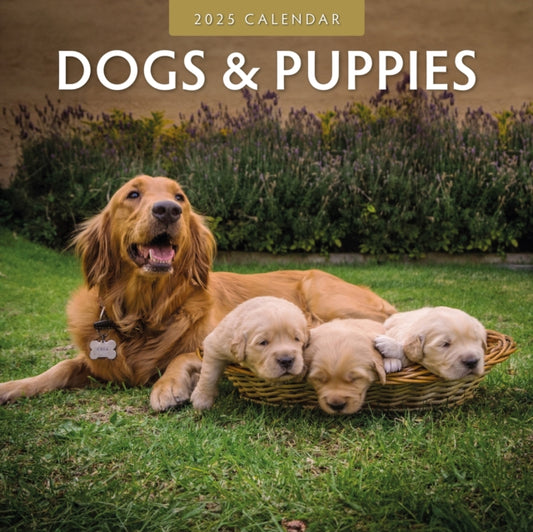 Dogs & Puppies 2025 Square Wall Calendar