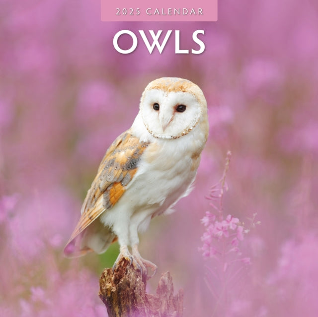 Owls 2025 Square Wall Calendar