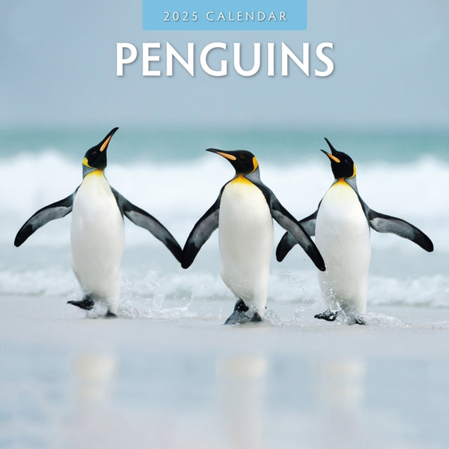 Penguins 2025 Square Wall Calendar