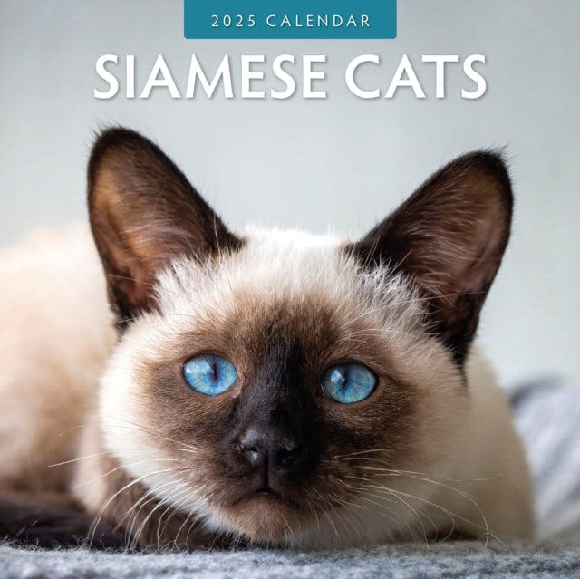 Siamese Cats 2025 Square Wall Calendar