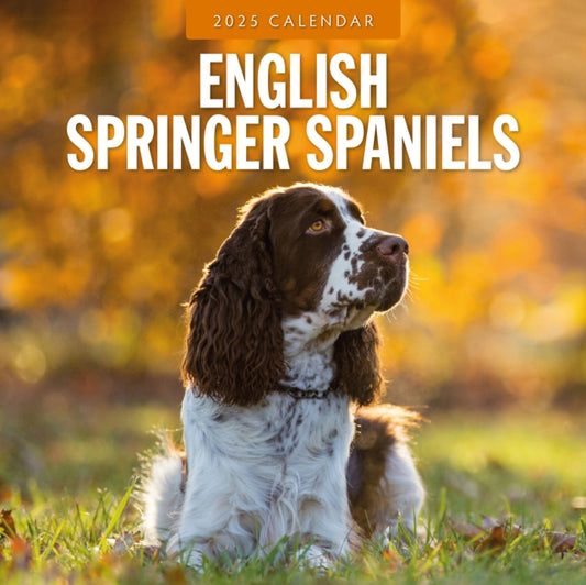 English Springer Spaniels 2025 Square Wall Calendar