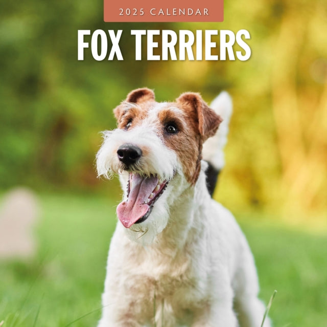 Fox Terriers 2025 Square Wall Calendar