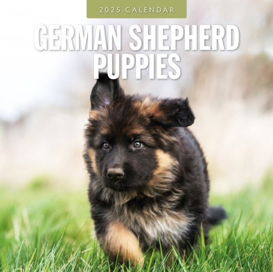 German Shepherd Puppies 2025 Square Wall Calendar