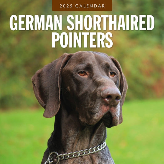 German Shorthaired Pointers 2025 Square Wall Calendar