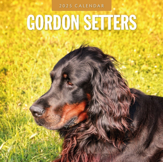 Gordon Setters 2025 Square Wall Calendars