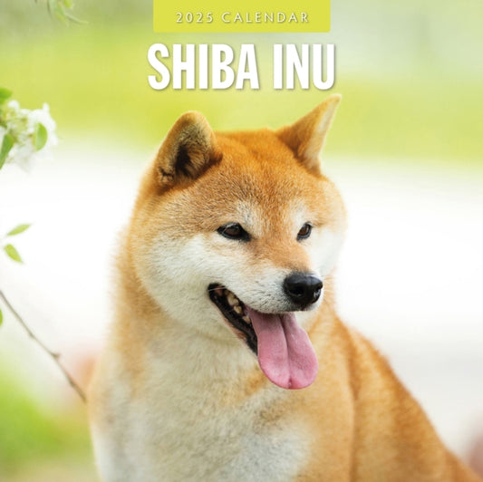 Shiba Inu 2025 Square Wall Calendar