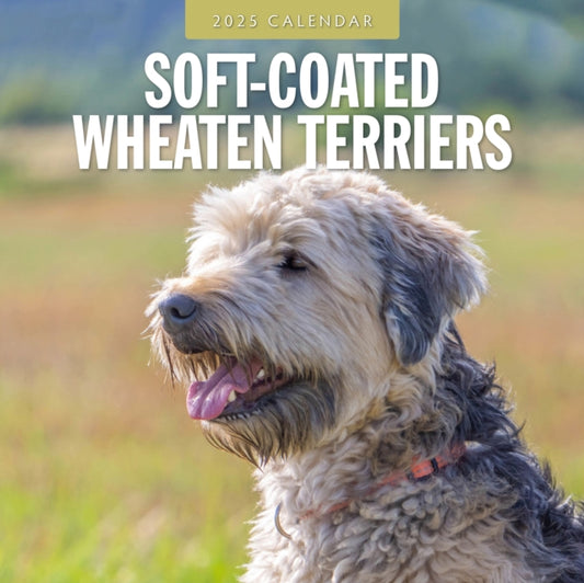 Soft-Coated Wheaten Terriers 2025 Square Wall Calendar