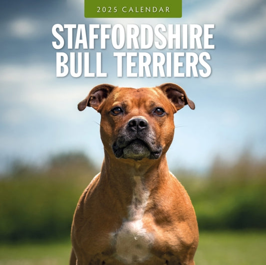 Staffordshire Bull Terriers 2025 Square Wall Calendar