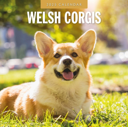 Welsh Corgis 2025 Square Wall Calendar