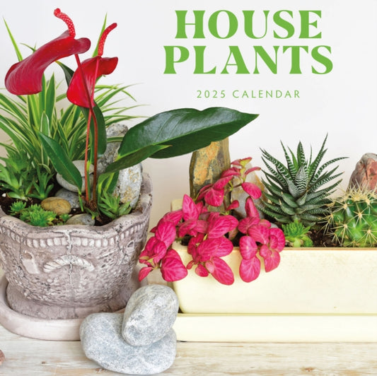 House Plants 2025 Square Wall Calendar