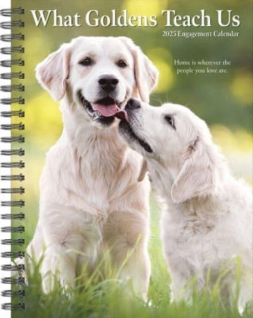 What Goldens Teach Us 2025 6.5 X 8.5 Engagement Calendar