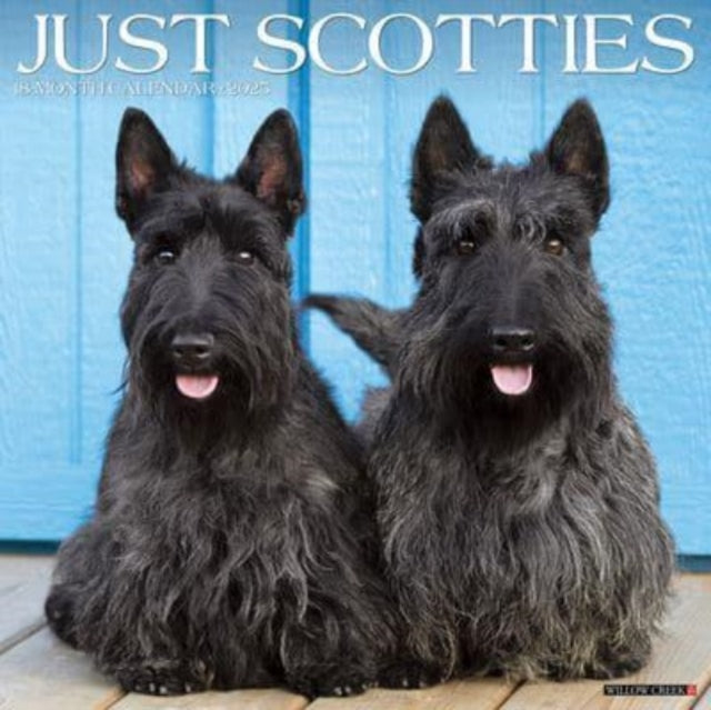 Just Scotties 2025 12 X 12 Wall Calendar