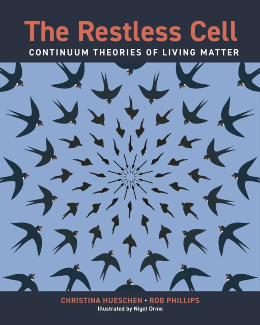 The Restless Cell: Continuum Theories of Living Matter