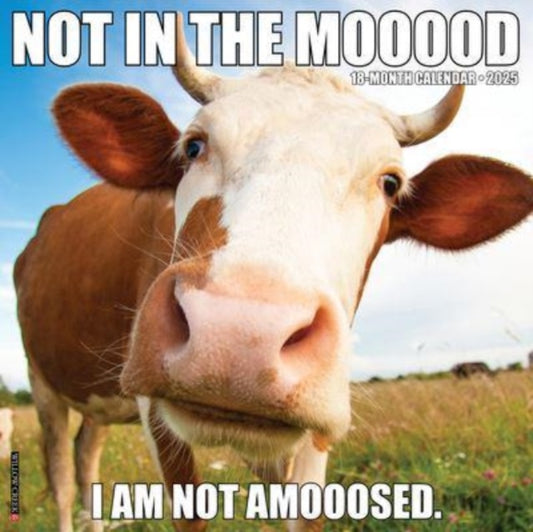 Not in the Mooood 2025 12 X 12 Wall Calendar