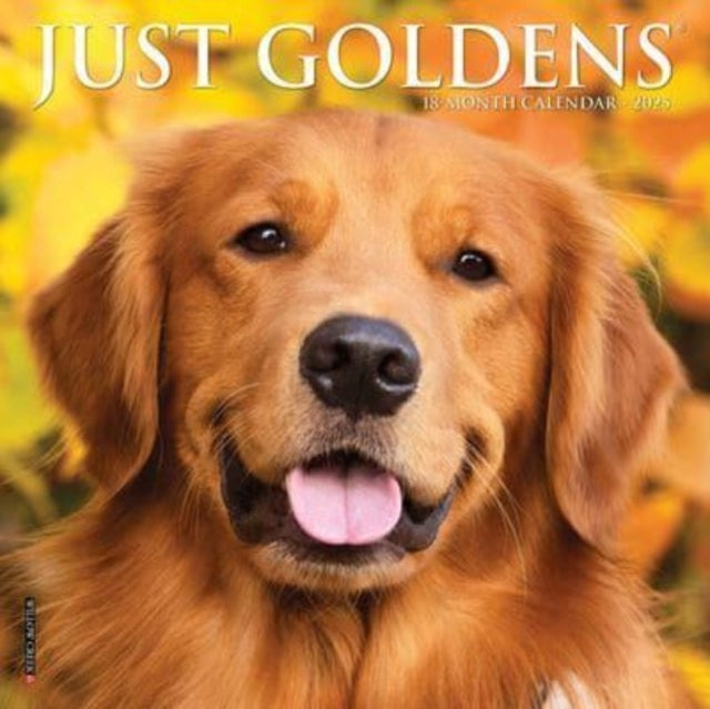 Just Goldens 2025 7 X 7 Mini Wall Calendar