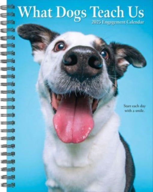 What Dogs Teach Us 2025 6.5 X 8.5 Engagement Calendar