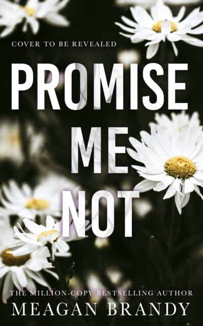 Promise Me Not: The brand-new angsty slow-burn romance following Tiktok sensation SAY YOU SWEAR!