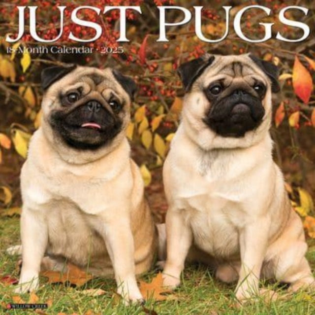 Just Pugs 2025 12 X 12 Wall Calendar