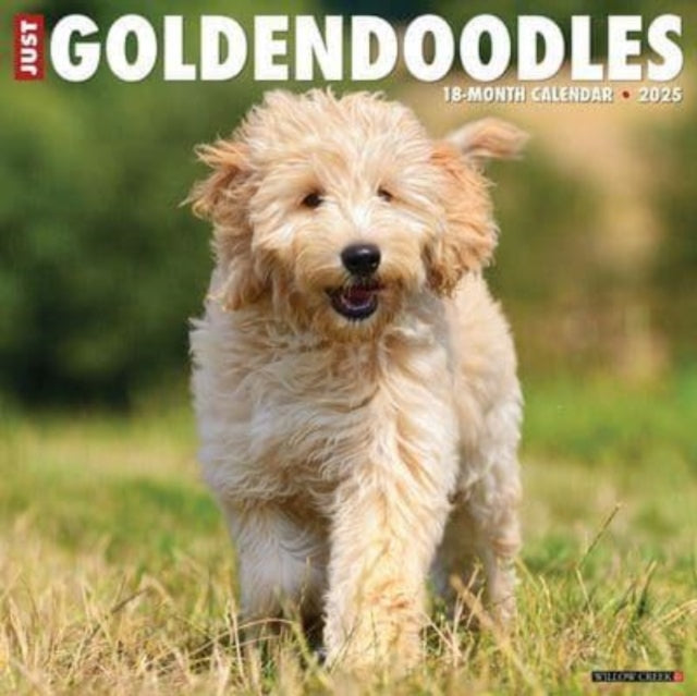 Just Goldendoodles 2025 12 X 12 Wall Calendar