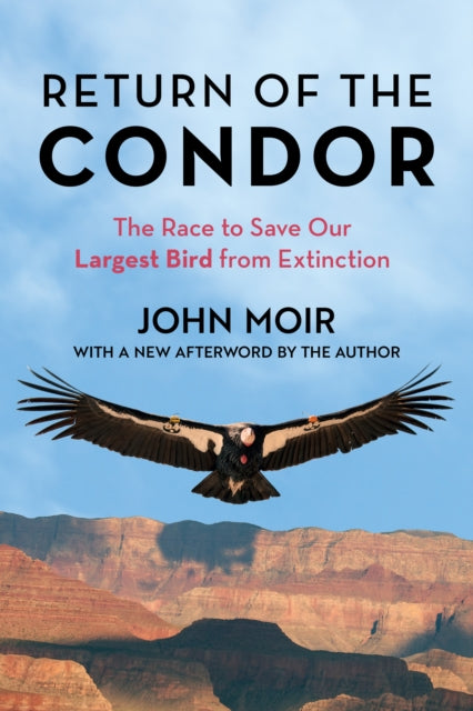 Return of the Condor: The Race to Save Our Largest Bird from Extinction