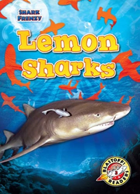 Lemon Sharks