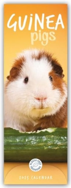 Guinea Pigs Slim Calendar 2025