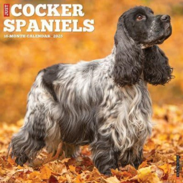 Just Cocker Spaniels 2025 12 X 12 Wall Calendar