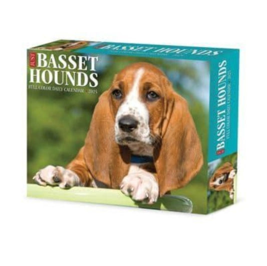 Basset Hounds 2025 6.2 X 5.4 Box Calendar