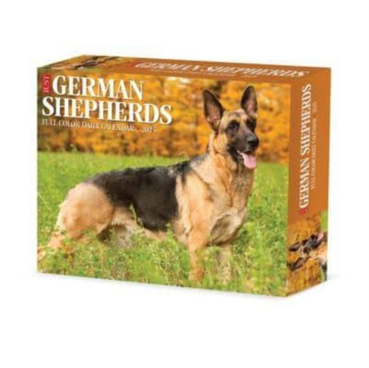 German Shepherds 2025 6.2 X 5.4 Box Calendar