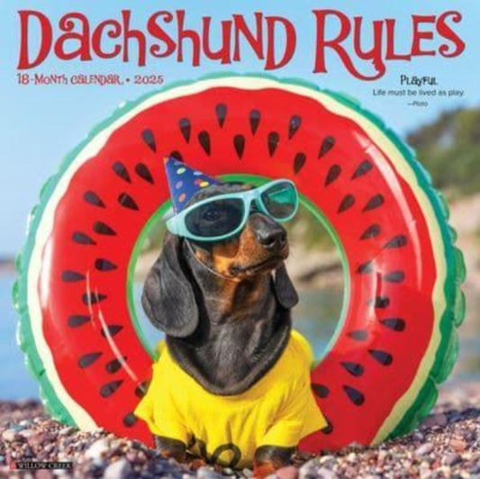 Dachshund Rules 2025 12 X 12 Wall Calendar