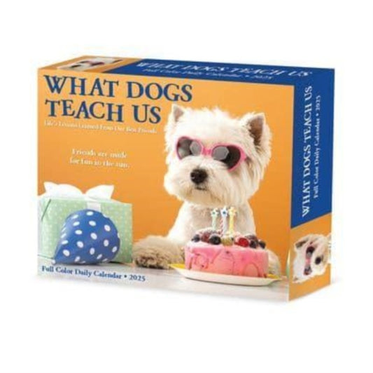 What Dogs Teach Us 2025 6.2 X 5.4 Box Calendar