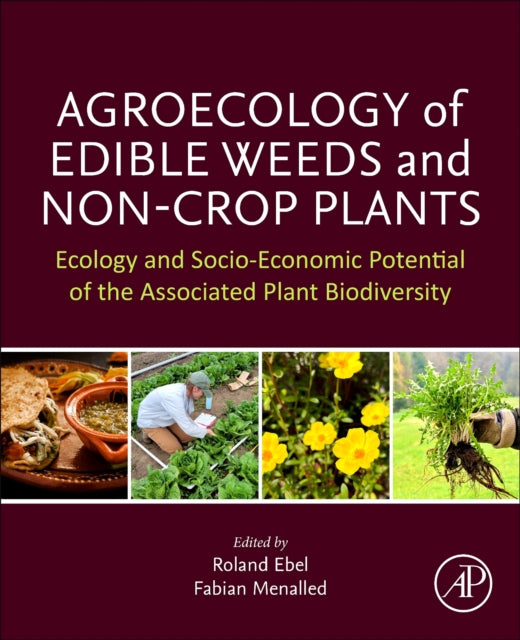 Agroecology of Edible Weeds and Non-Crop Plants: Ecology and Socioeconomic Potential of the Associated Plant Biodiversity