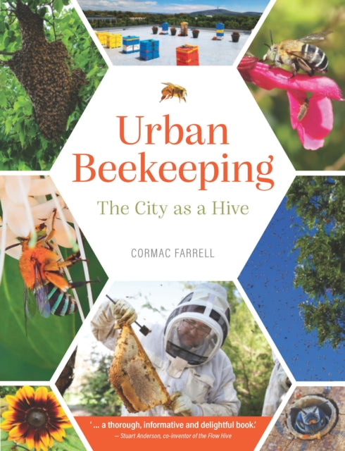 Urban Beekeeping: The city as a hive