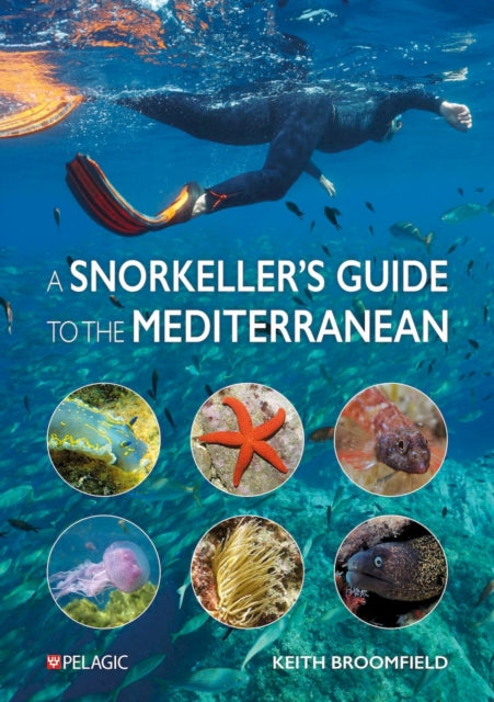 A Snorkeller’s Guide to the Mediterranean: A photographic ID guide to the most commonly encountered marine species