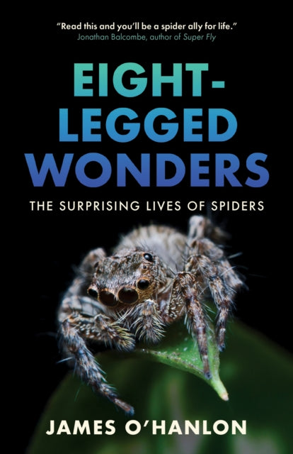 Eight-Legged Wonders: The Surprising Lives of Spiders