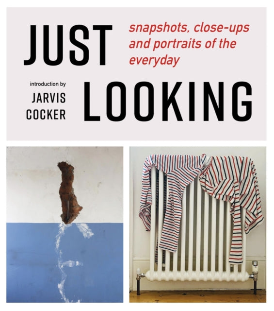 JUST LOOKING: snapshots, close-ups and portraits of the everyday