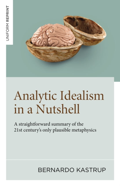 Analytic Idealism in a Nutshell: A straightforward summary of the 21st century’s only plausible metaphysics