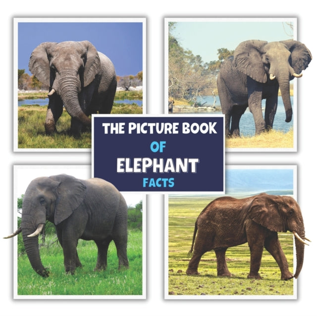 The Picture Book of Elephant Facts: A Fun and Informative Photos with Fun Facts Book for Kids