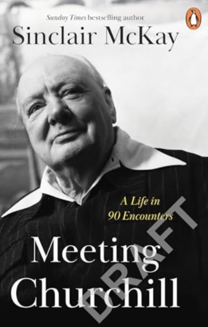 Meeting Churchill: A Life in 90 Encounters