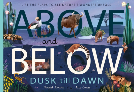 Above and Below: Dusk till Dawn: Lift the flaps to see nature's wonders unfold