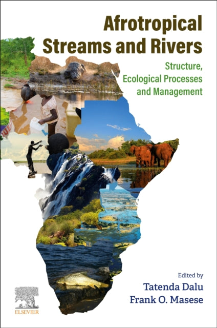 Afrotropical Streams and Rivers: Structure, Ecological Processes and Management