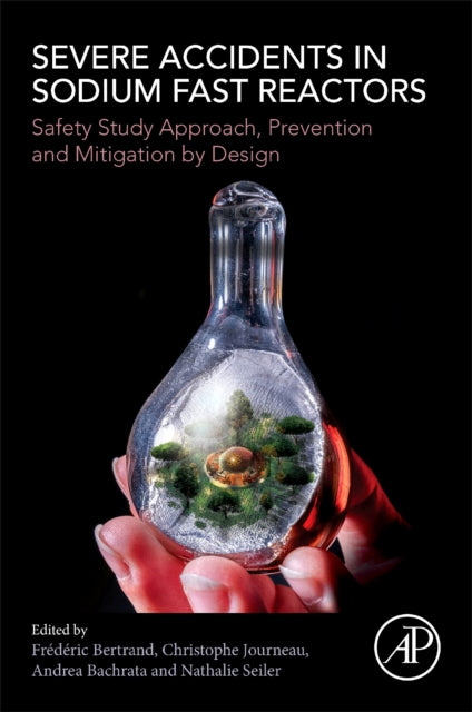 Severe Accidents in Sodium Fast Reactors: Safety Study Approach, Prevention and Mitigation by Design