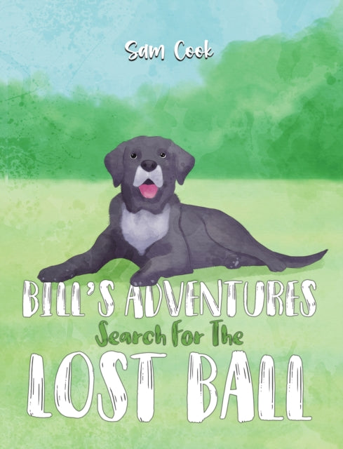 Bill’s Adventures: Search for the Lost Ball