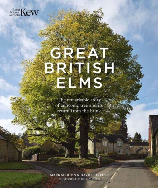 Great British Elms: The remarkable story of an iconic tree and it’s return from the brink