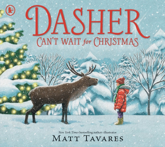 Dasher Can't Wait for Christmas: The magical sequel to the internationally bestselling Dasher